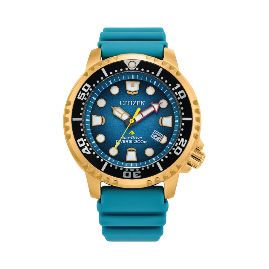 Citizen BN0162-02X Promaster Dive Eco-Drive 200M Blue Dial Silicone Strap Watch